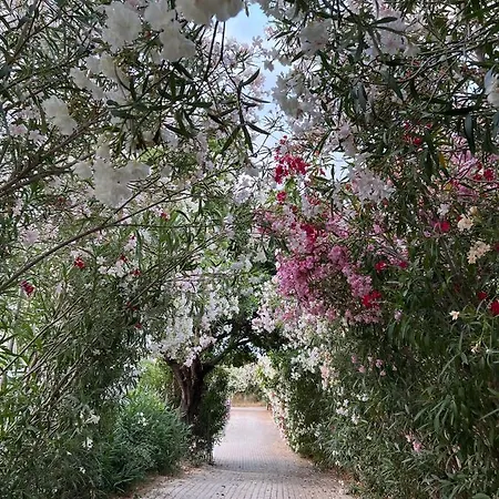 Nova S.r Sea View Villa *