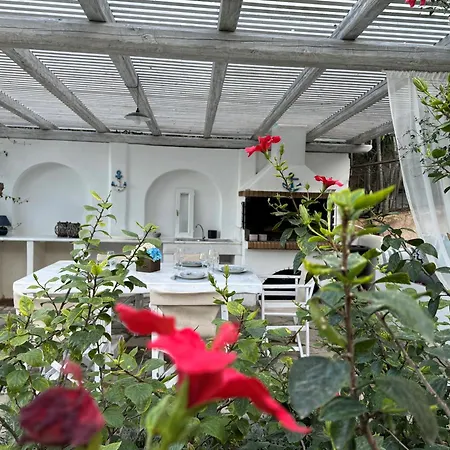 Nova S.r Sea View Villa *
