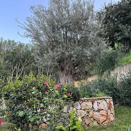 Nova S.r Sea View Porto Heli