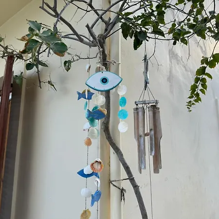 Nova S.r Sea View * Porto Heli