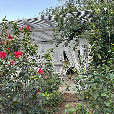 Nova S.r Sea View Villa