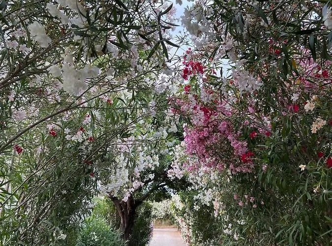 Nova S.r Sea View Villa *